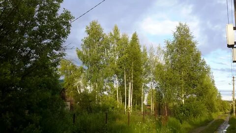 Садоводческое товарищество 7
