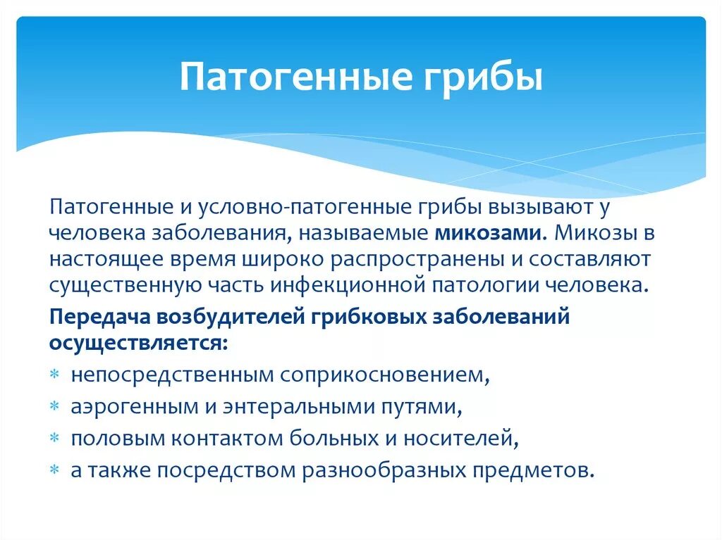 Патогенные болезни какие. Патогенные грибы. Патогенные представители грибов. Условно патогенные грибы. Патогенные грибы микробиология.