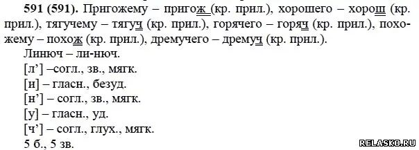 Русский язык 5 класс прилагательное задания. Русский 5 класс ладыженская номер 591. русский язык 5 класс 2 часть упражнение 591. задания по русскому языку 5 класс ладыженская. русский язык 5 класс ладыженская баранов тростенцова 1 часть.