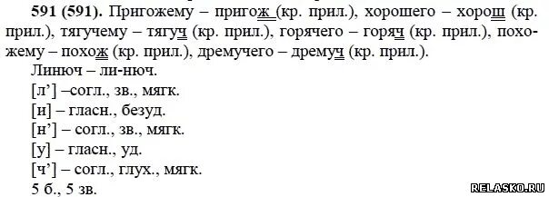 Пригожему краткая форма. Русский 5 класс ладыженская номер 591. Русский язык 5 класс 2 часть упражнение 591. Задания по русскому языку 5 класс ладыженская. Русский язык 5 класс ладыженская упражнения задания.