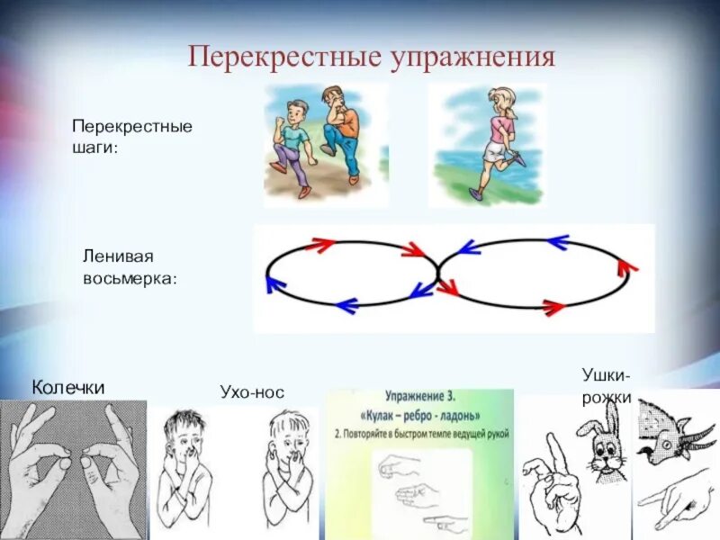 Нейропсихолог упражнения. Кинезиология для дошкольников упражнения. Нейропсихология упражнения для дошкольников. Гимнастика мозга для дошкольников. Нейрокоррекция упражнения для дошкольников.