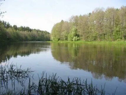 Вилия парк беларусь