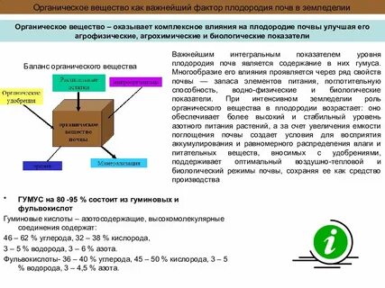 Роль органические вещества в почве