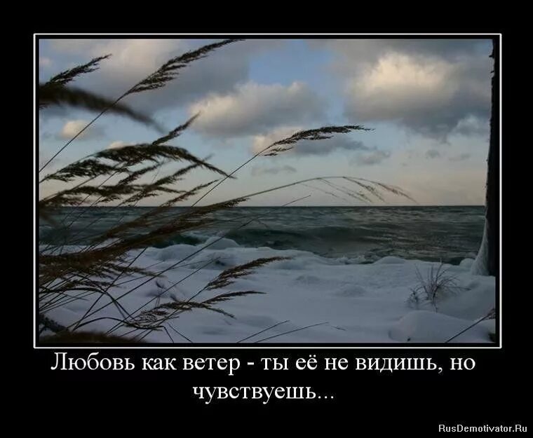 Ты ветров не бойся. Фразы про ветер. Любовь как ветер. Ветер демотиватор. Сильный ветер демотиваторы.