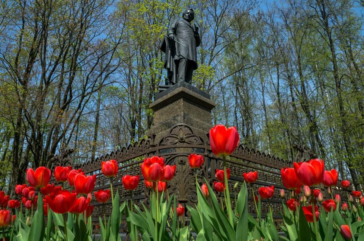 Смоленска цветок фото. Смоленска цветок фото. Смоленска цветок фото. Смоленска цветок фото. Медуница неясная листья.