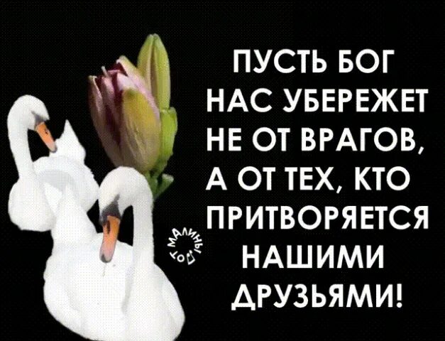 Собери друзей а врагов прочь. Пусть нас бог убережет. пусть нас бог убережёт от тех кто притворяется другом. цитаты про врагов и завистников. пусть бог убережет нас не от врагов.