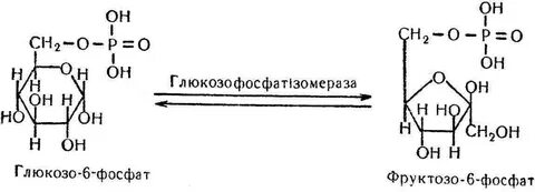 Фруктоза фосфат