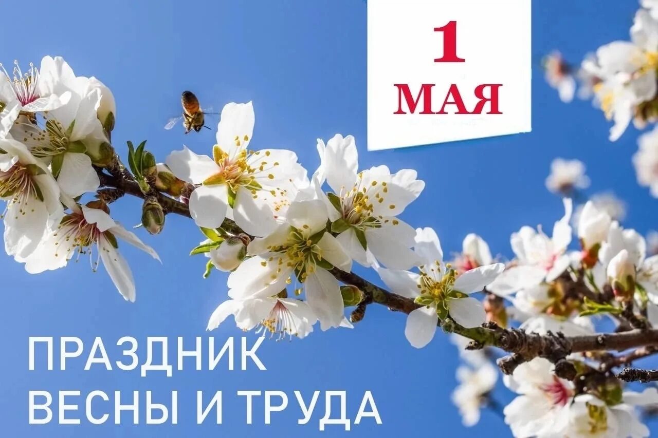 Праздник 1 мая официальное название