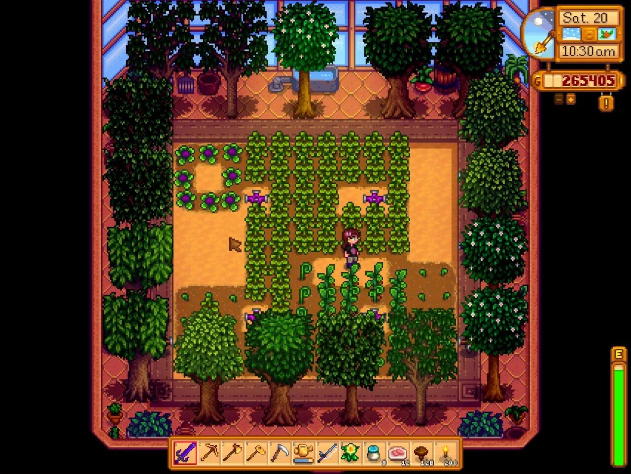 Редис стардью. Stardew valley плодовые деревья. stardew valley деревья. stardew valley фруктовые деревья. стардью вэлли фруктовые деревья.