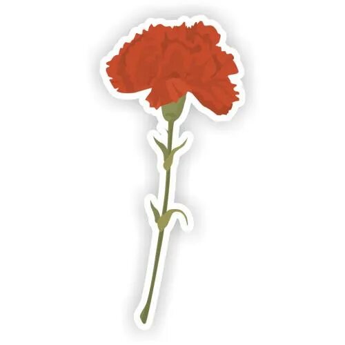 Цветы гвоздики раскраска. Гвоздики на окна цветные на 9 мая. Гвоздики карандашом. Гвоздики цветные для распечатывания. Гвоздика 9 мая.