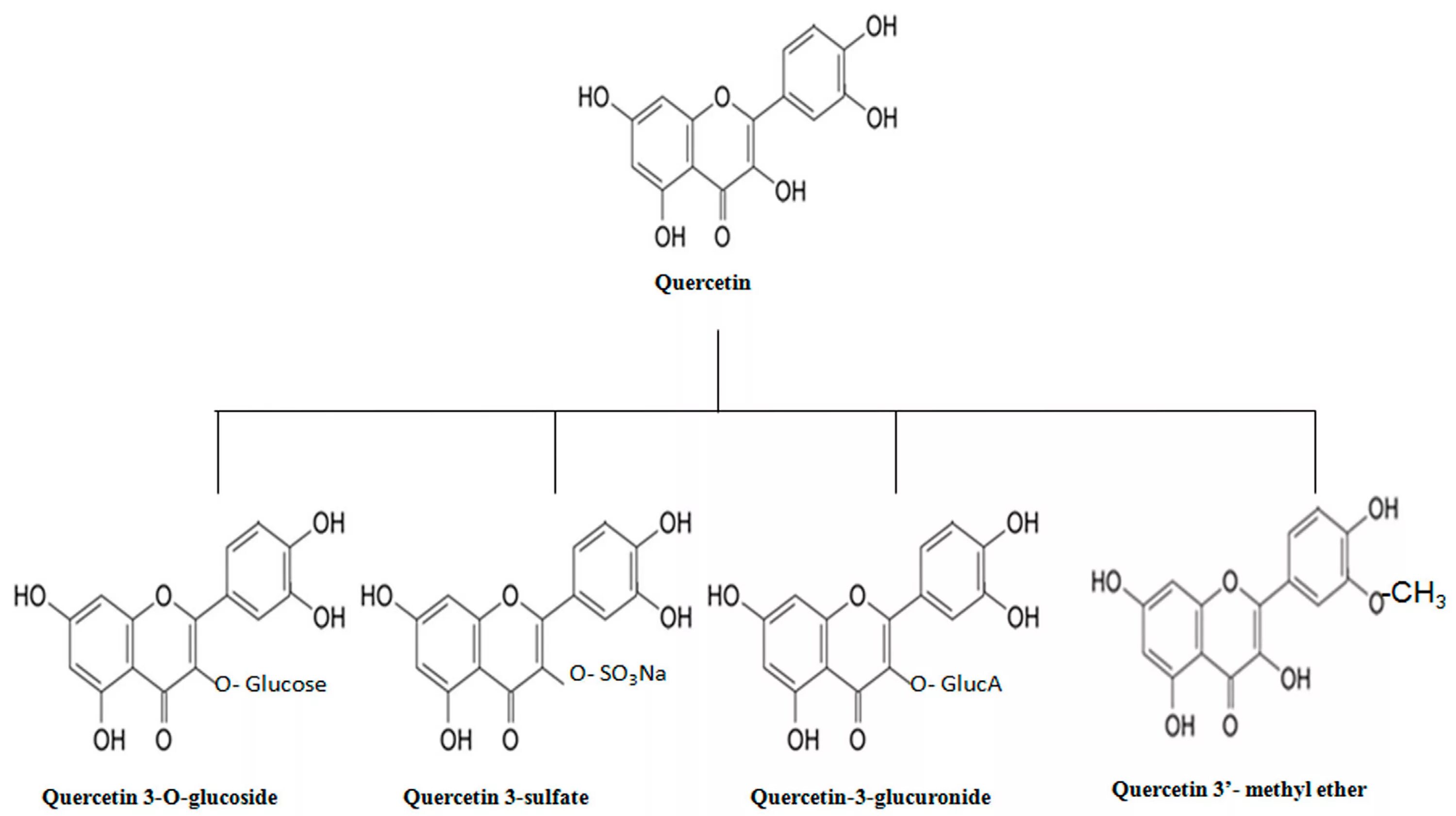 Рутозид и кверцетин. Рутин витамин формула. Флавоноиды кверцетин формула. Витамин p строение. Рутин формула структурная.