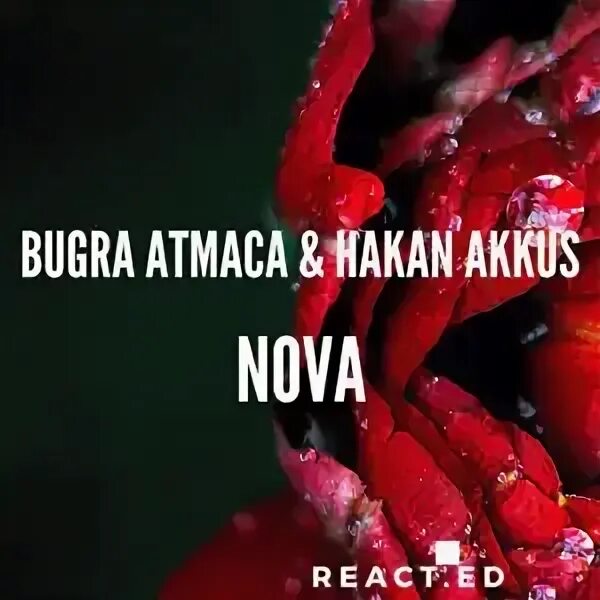 Bugra atmaca no cap. Bugra atmaca no cap
