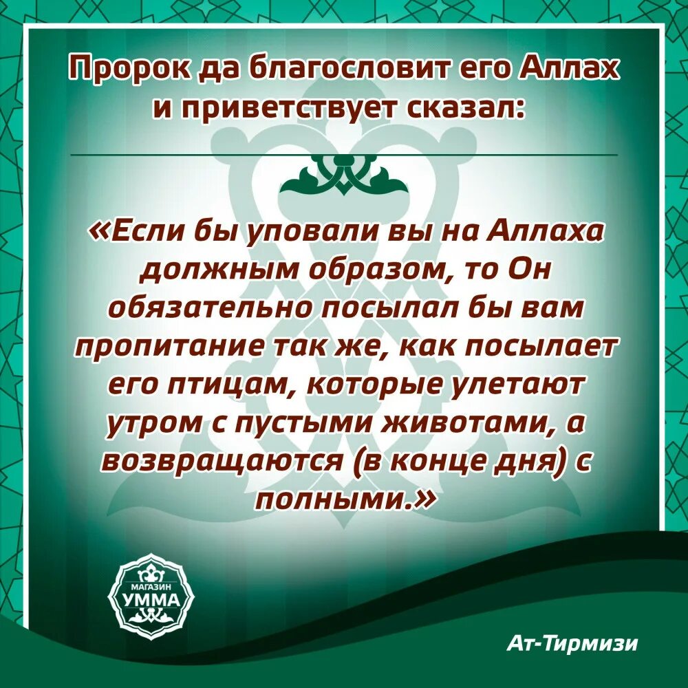 Уповать на всевышнего. Хадисы про упование на Аллаха. Уповай на Всевышнего хадисы. Уповайте на Аллаха должным образом. Упование на Аллаха в Исламе.