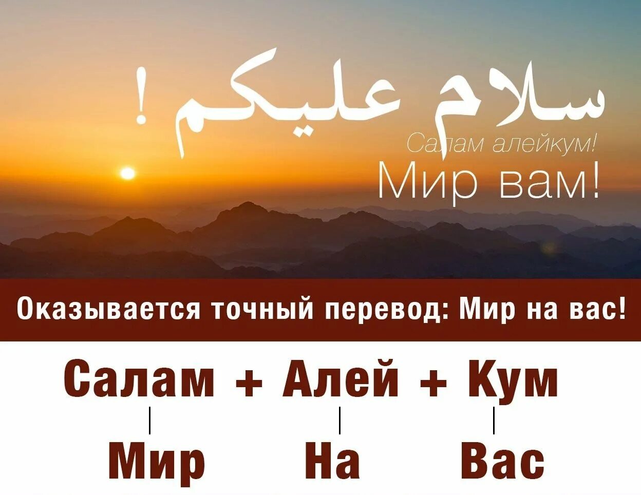 Что ответить на ассаламу алейкум. АС-саляму алейкум. Мусульманское Приветствие. Мир вам на арабском языке. Исламское Приветствие.