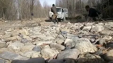 Благодаря находчивости