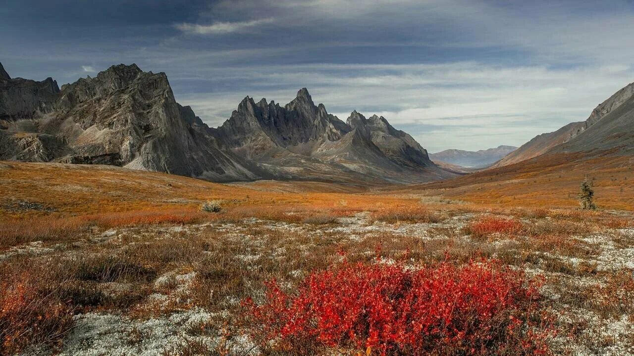 Аляска плоскогорье юкон. Долина юкона. Самая большая река в аляске. Долина реки юкон. Юкон аляска.