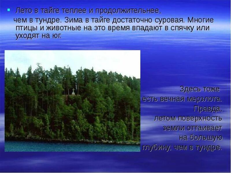 Лето в тайге теплее чем в тундре