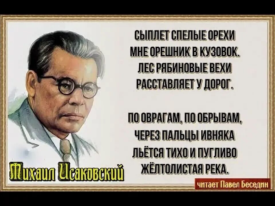 Орешник фундук. Сыплет спелые орехи мне орешник в кузовок. Гриб орешник. Лесной орех в лесу. Корзина с грецкими орехами.