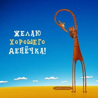 Веселые картинки с пожеланием хорошего дня