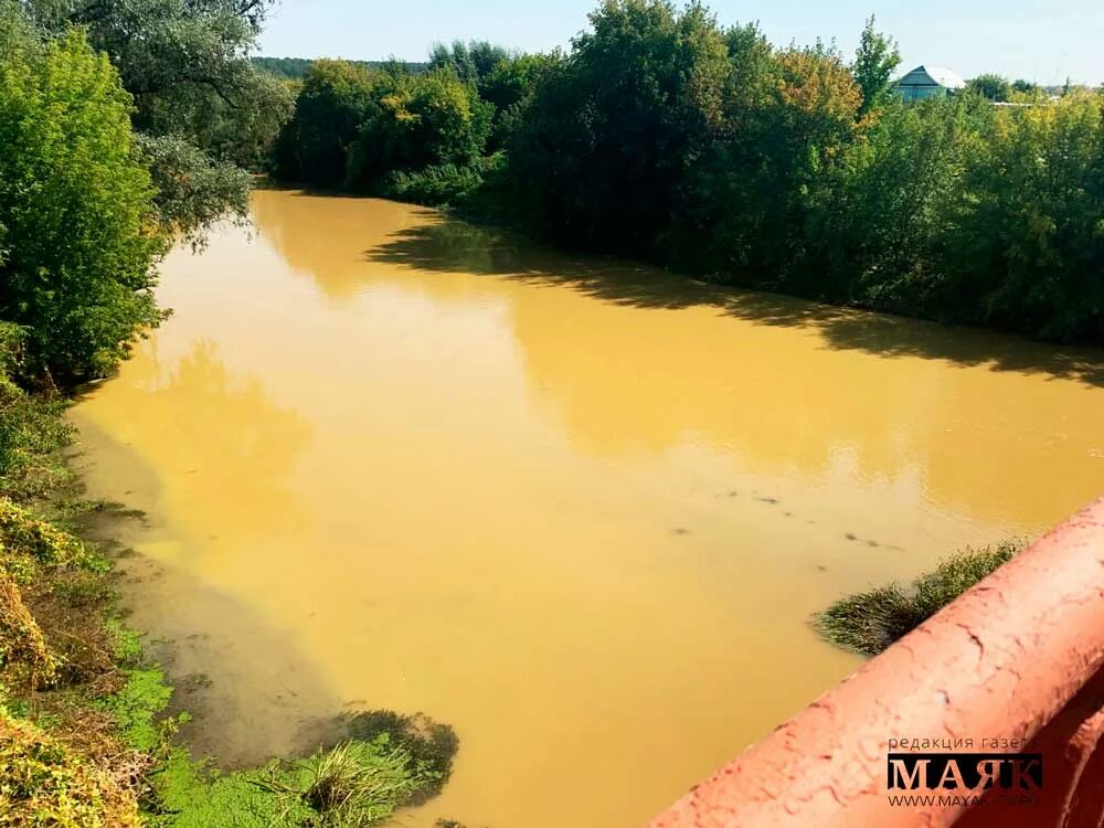 Желтая вода весной. Загрязнение реки Миасс в Челябинске. Загрязнённая река Хуанхэ. Загрязненная река Миасс. Река Миасс в Челябинске грязная.