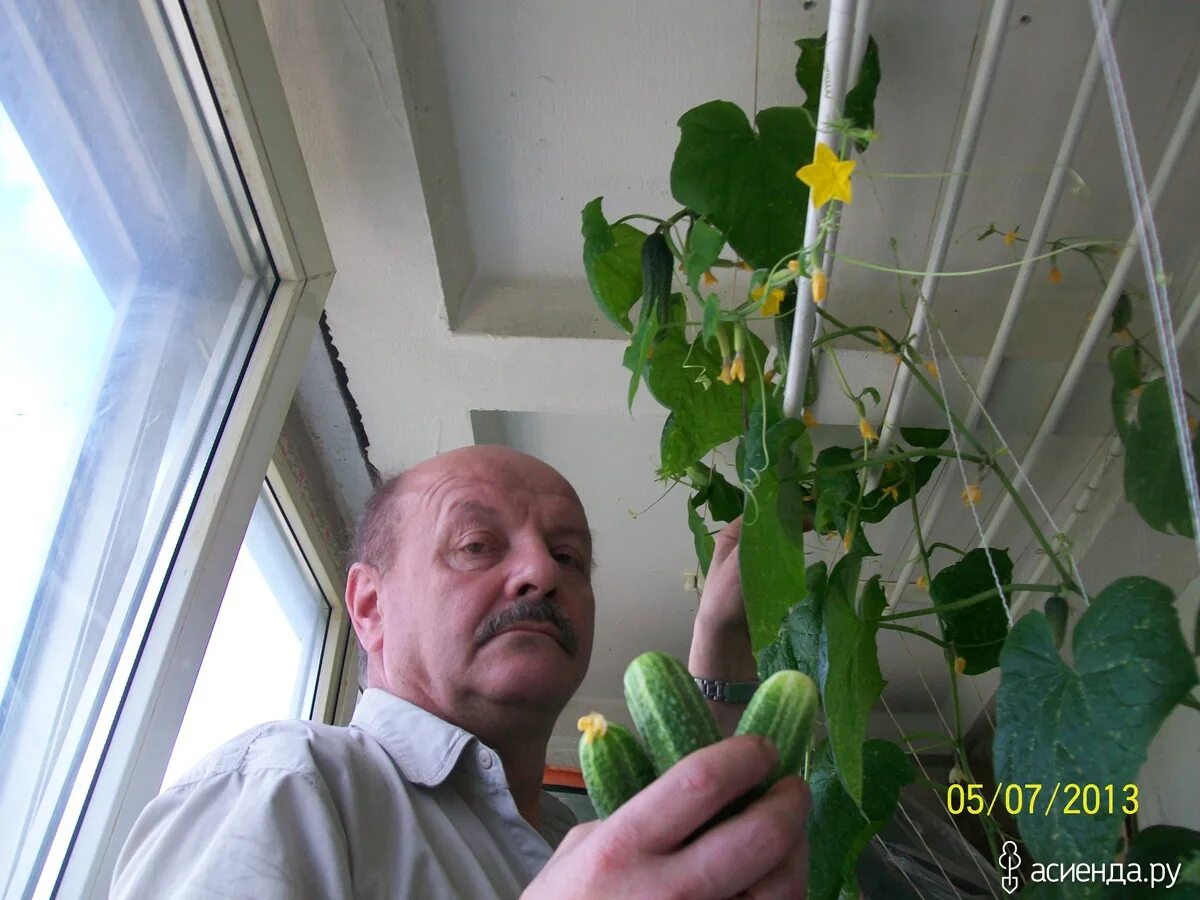Балконный хрустик