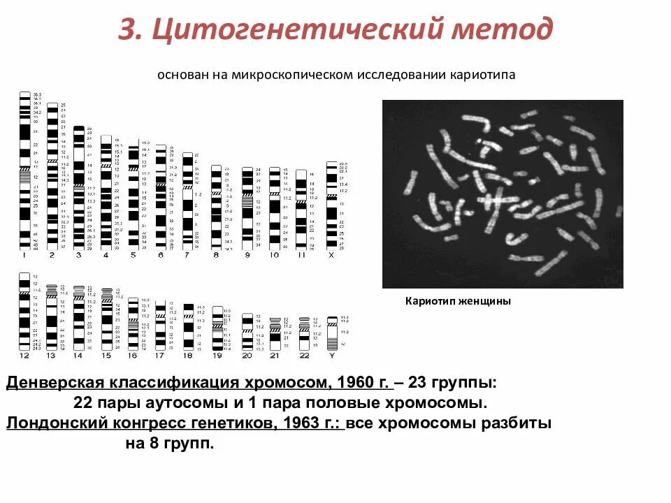 Цитогенетический анализ кариотипа. Цитогенетическое исследование (или кариотипирование). Цитогенетический метод кариотипирования. Экспресс цитогенетический метод исследования. Цитогенетический метод наследственные заболевания