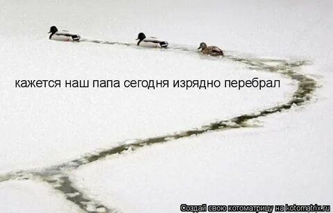 Изрядно это