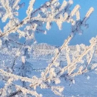 Ветер принес издалека песни