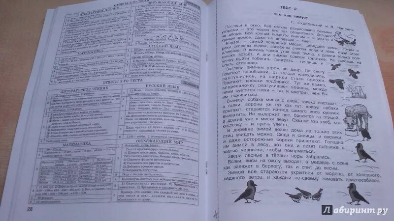 Комплексные работы по текстам. Комплексные работы по текстам 3 класс. Холодова комплексные работы. Комплексные работы по текстам тексты. Школа развития речи 1 класс 2 часть