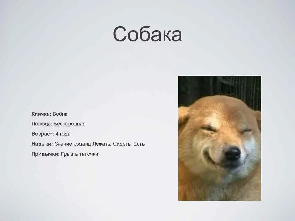 Имена для сучек