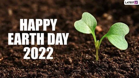 Последний день земли 2024 г