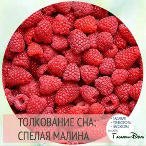 Сон собирать спелую малину. Сон собирать спелую малину