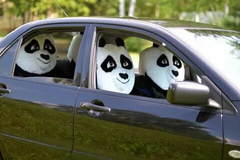 Panda cars