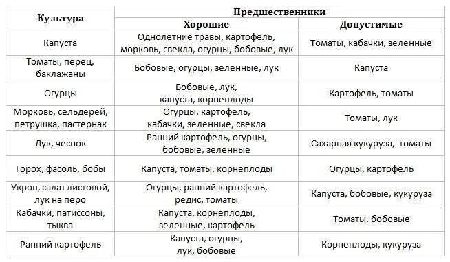 Можно ли сажать картофель после картофеля