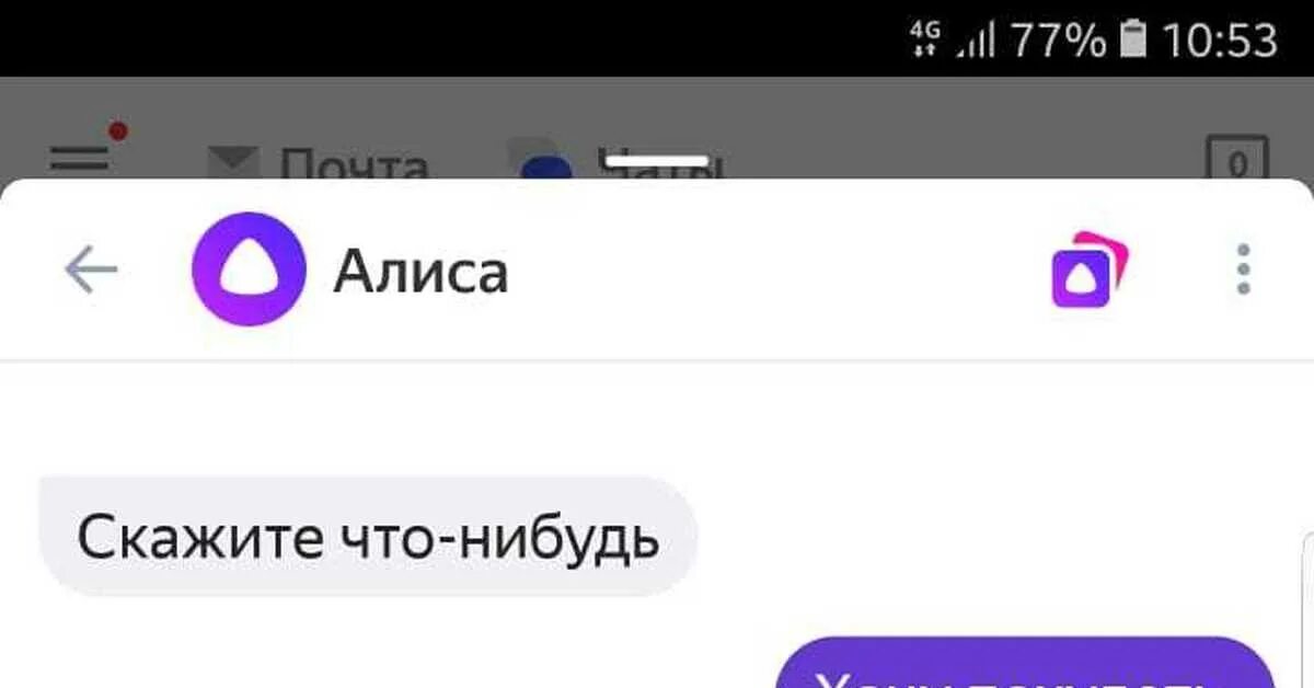 Чат с алисой с телефона. Что такое Алиса покинула чат. Чат с Алисой. Покинь чат Алиса.