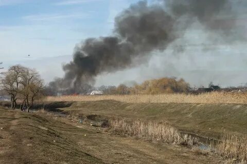 Погода в бельцах на неделю