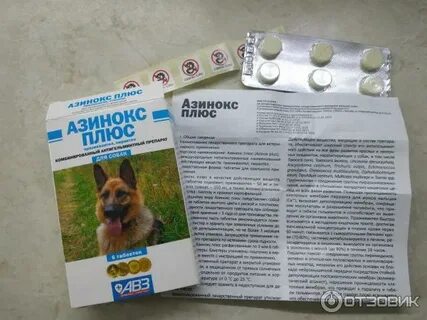 Бывшее название плюс