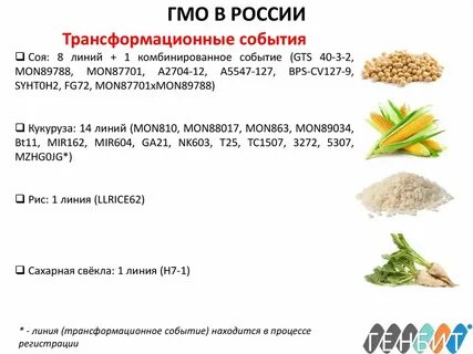 Виды гмо