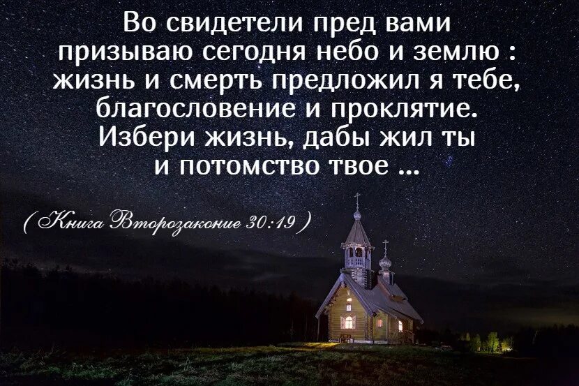 Жизнь и смерть предложил я тебе благословение и проклятие избери. Избери жизнь дабы жил ты и потомство твое. Благословение и проклятие. Благословение или проклятие Библия избери жизнь. Как пишется благословляю или благославляю