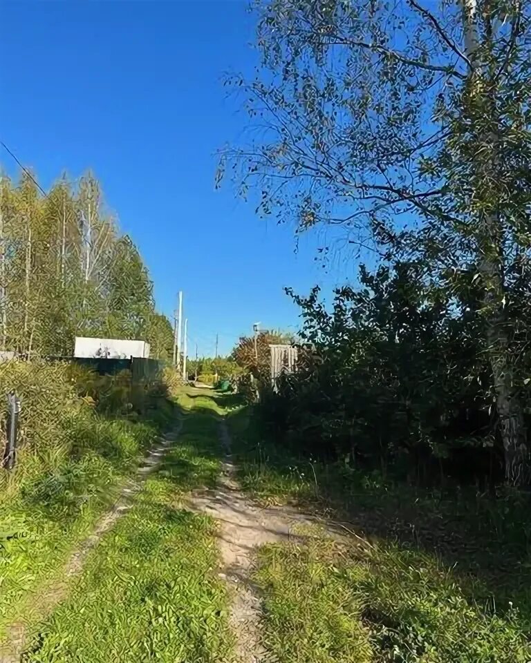 Снт тонус. Снт тонус
