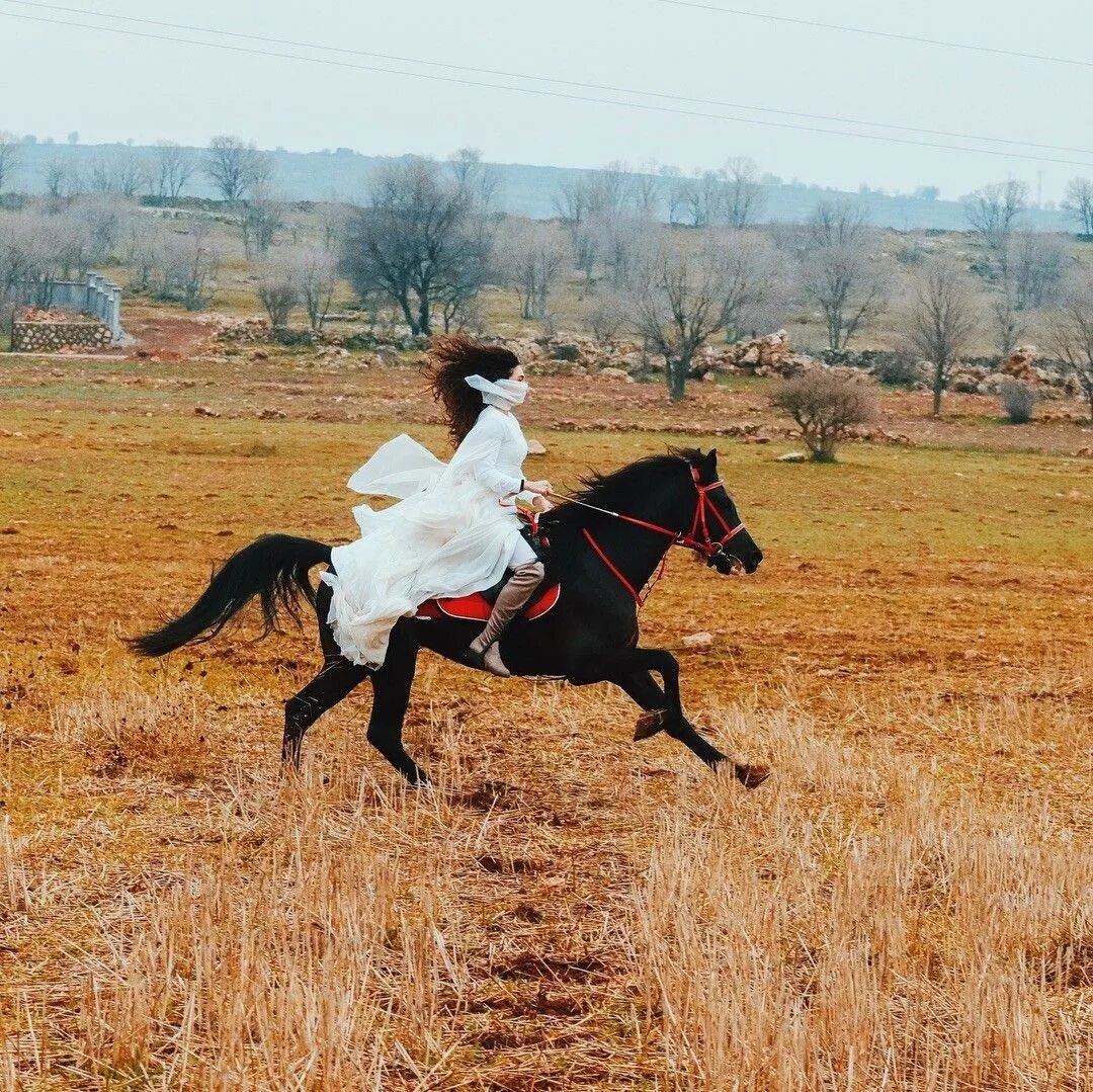 Ветреный Рейян и Миран. Эбру Шахин на лошади.