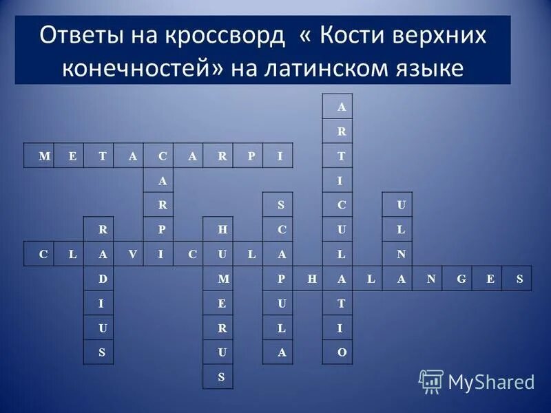 кроссворд на тему астрономия. смешанная кость кроссворд. клетки для кроссворда пустые. кроссворд на тему скелет человека. кроссворд с вопросами.