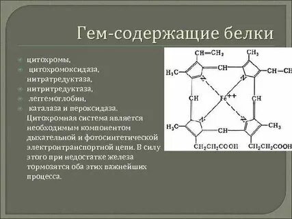 Биологическая роль гем содержащих белков
