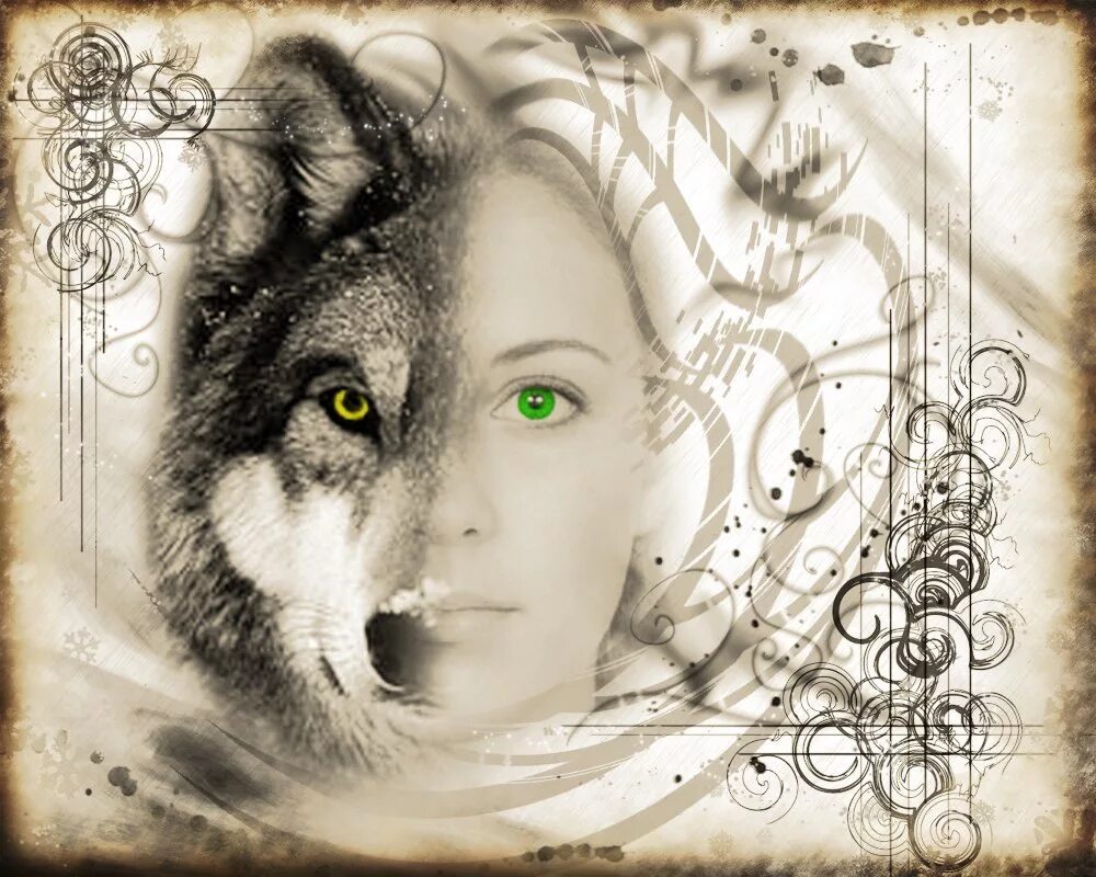 Одинокая волчица читать. Волчица и девушка. Одинокая волчица. Девушка с волком. Волчьи глаза у девушки.