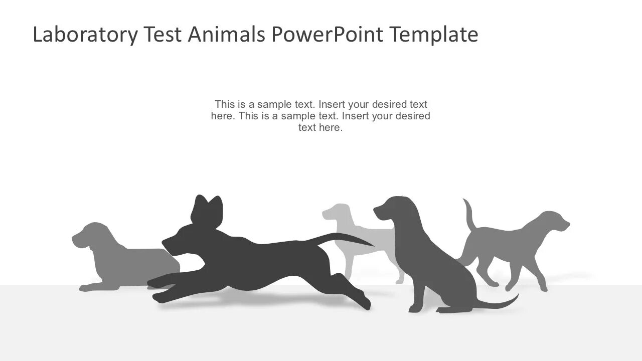 Animal lab. POWERPOINT шаблон с животными. Animal тест. Фон для презентации POWERPOINT Ветеринария. Изображение животных в презентацию POWERPOINT.