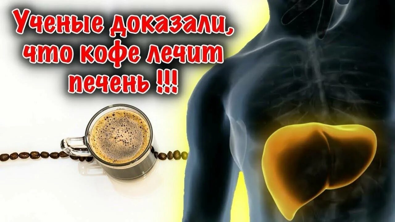 Кофе полезен для печени. Кофе полезно для печени. Кофе лечит печень. Влияние кофе на печень.