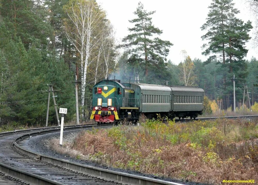 Железные дороги ульяновск. Пригородный поезд Ульяновск Димитровград. Электричка Димитровград Ульяновск. Железная дорога Ульяновск Димитровград. Перегон Инза Ульяновск.