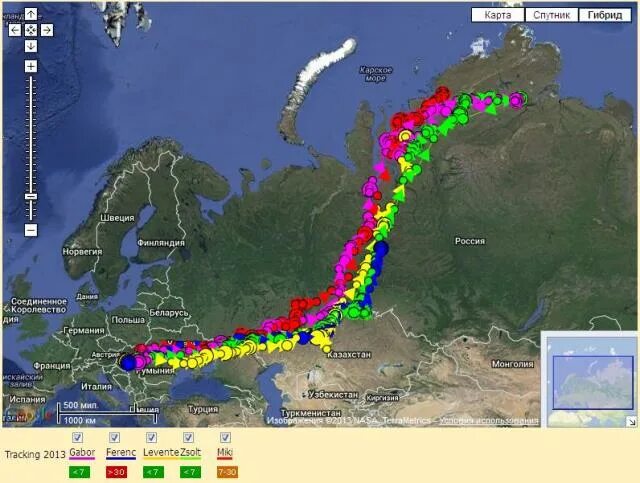 Карта пролета. Карта миграции гусей в России. Пути миграции гусей в России. Пути миграции гуся на карте. Карта миграции гусей в России осенью.