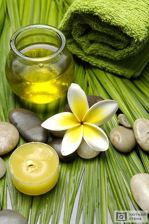 Аромамасла для массажа тела. Aroma buro свечи беременная. Relaxing oils. Ароматерапия эфирные масла. Ароматерапия массаж.