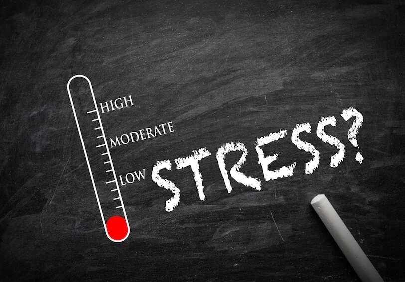 Stress level zero boneworks. Картинка stress level. Zero лого. Уровень стресса мем. Stress level.